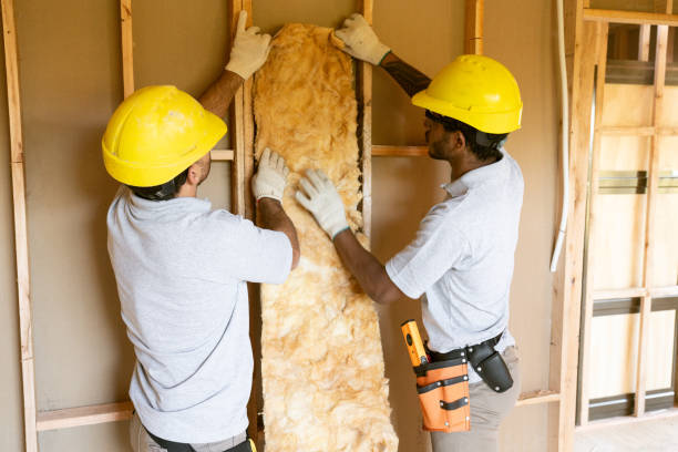 Best Wall Insulation Installation  in Hughestown, PA